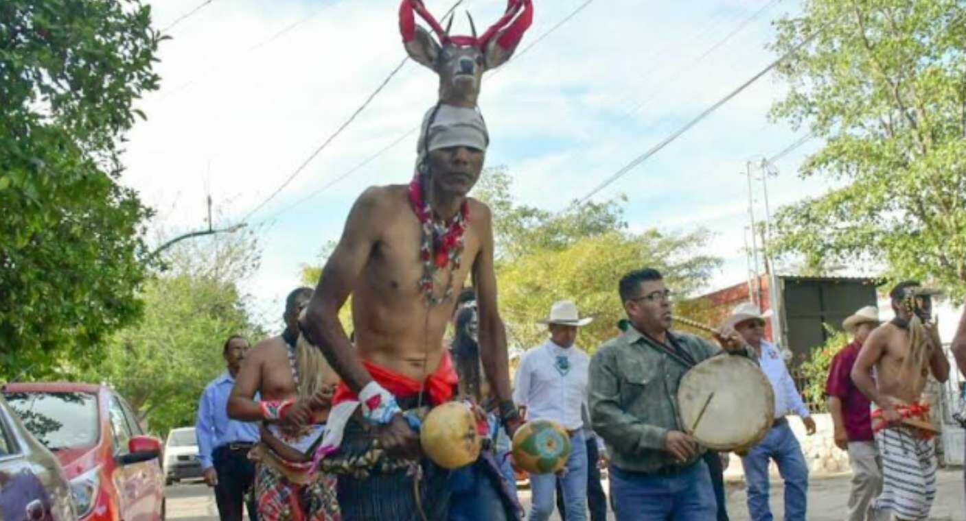 Realizan caminata hacia la Ramada Yaqui en Hermosillo para reconocer pueblos originarios durante Fiestas del Pitic