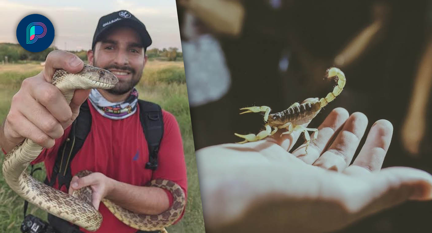 Para conocer sobre animales y plantas de Sonora invita Gila Hikers a caminatas y recorridos por Hermosillo