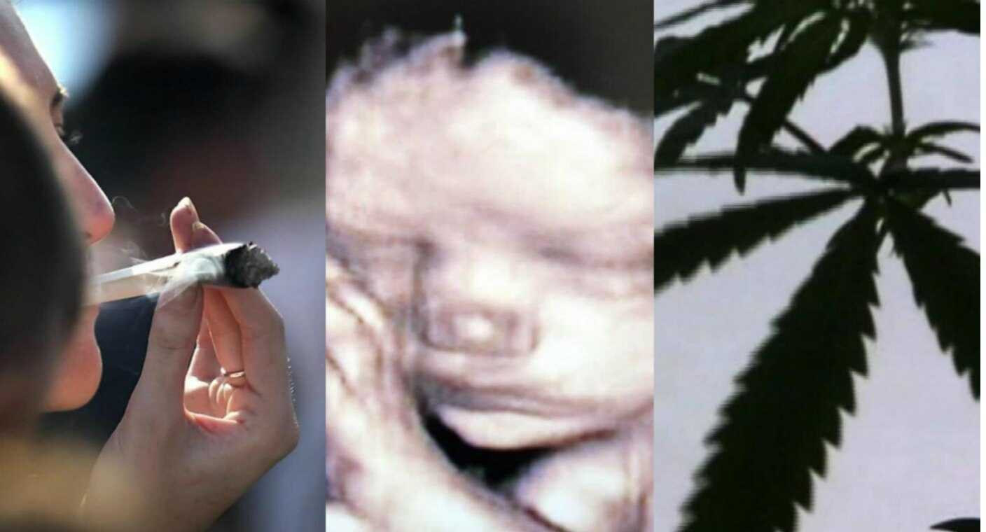 Consumir marihuana en primer trimestre de embarazo daña al feto, reporta estudio