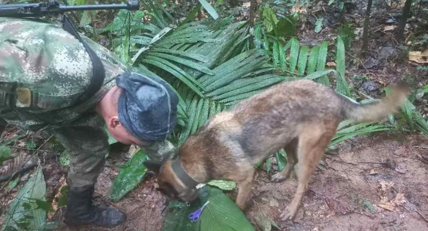 Cuatro niños sobreviven en accidente aéreo y aparecen en selva de Colombia