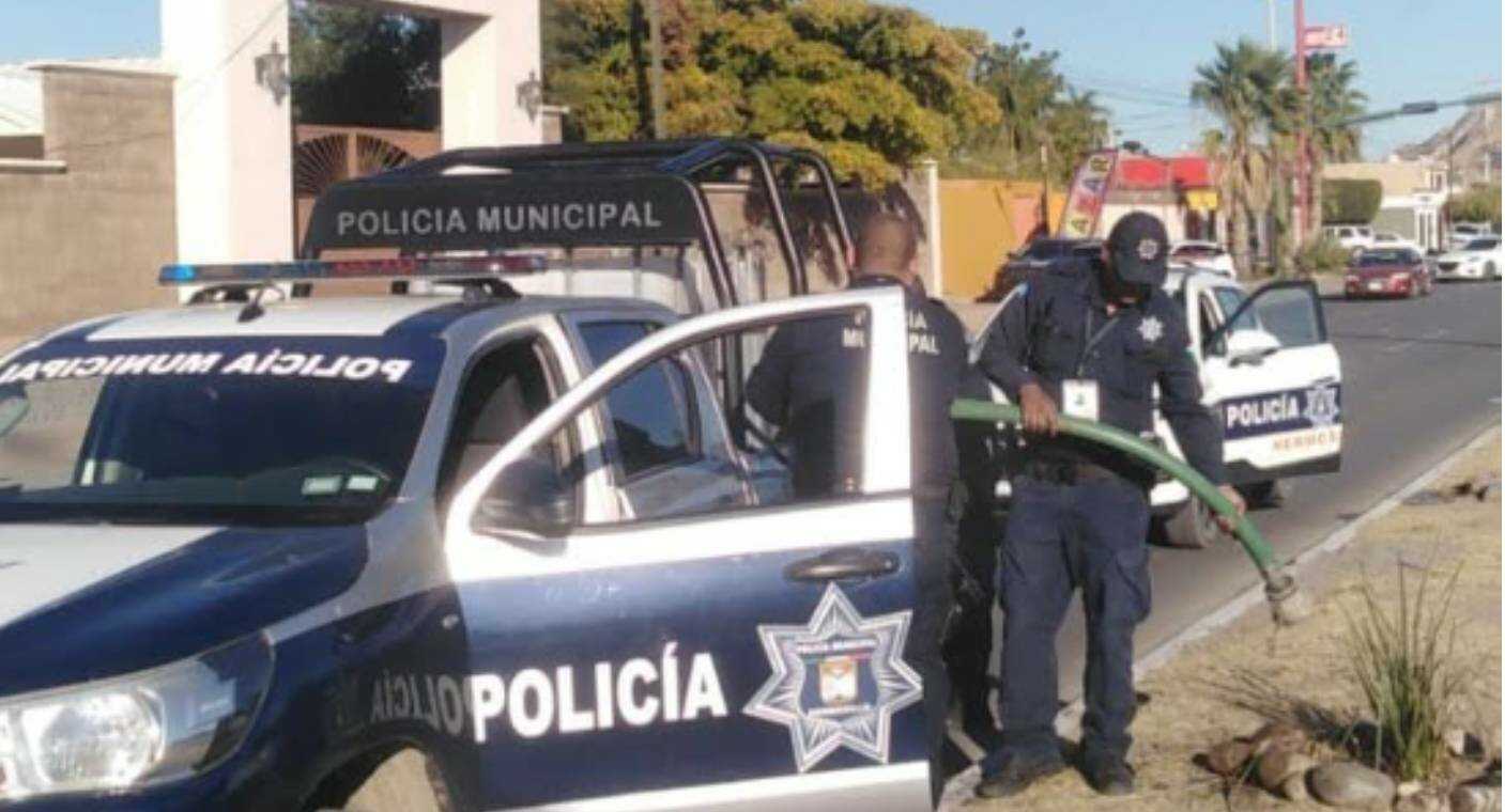 Policía Preventiva y Tránsito Municipal adopta camellón en Hermosillo para preservar el medio ambiente