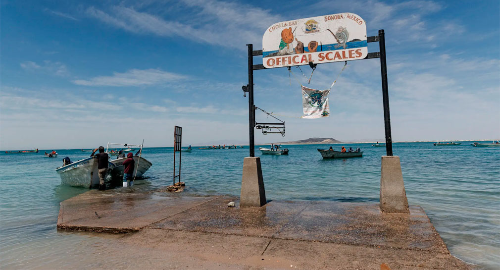 Protestan activistas y académicos de Sonora contra posible desalinización de agua de Puerto Peñasco a Arizona