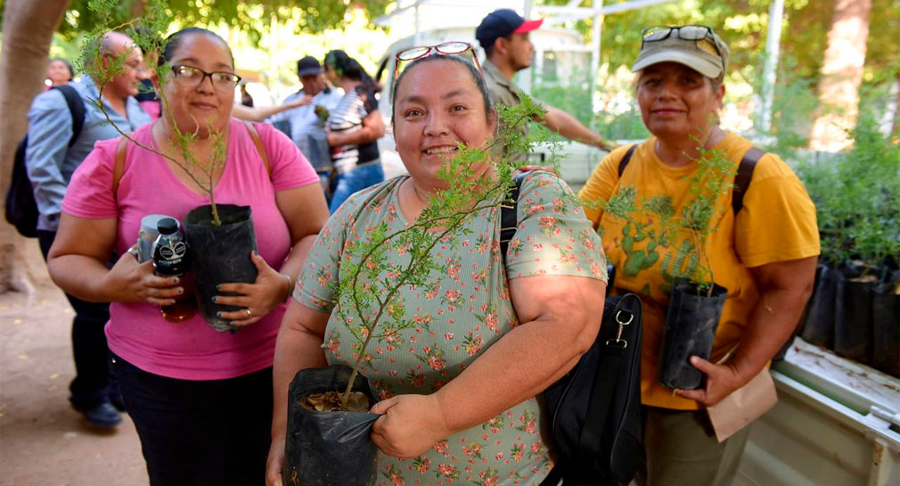 Invitan a curso gratuito sobre mantenimiento de plantas nativas en Hermosillo
