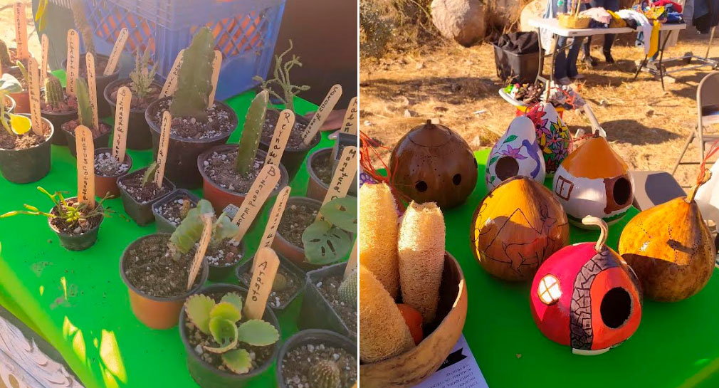 Invitan a tercera edición de Eco Tianguis este fin de semana en parque Lomas de Madrid, de Hermosillo