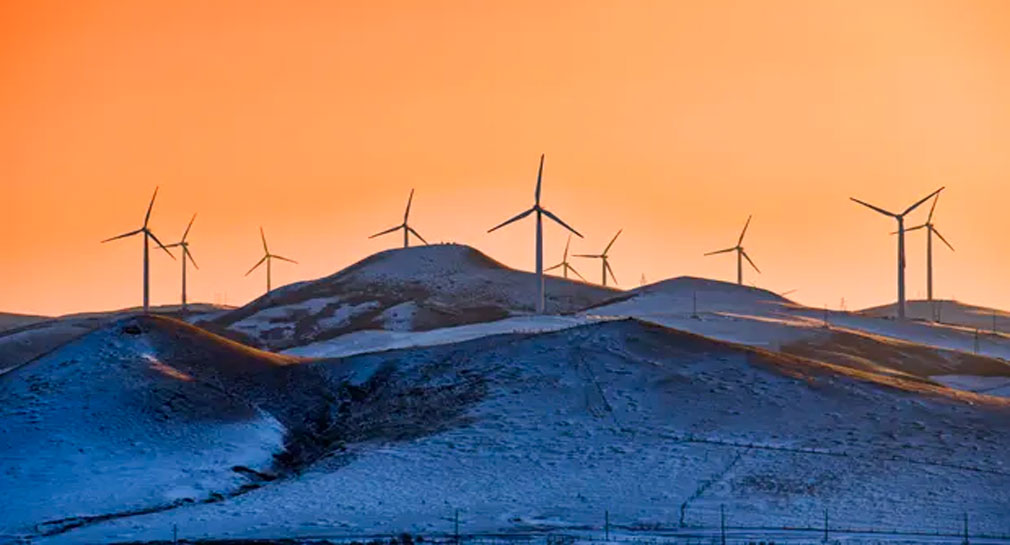 Ocho acciones a seguir para evitar lo peor del cambio climático, según The Guardian