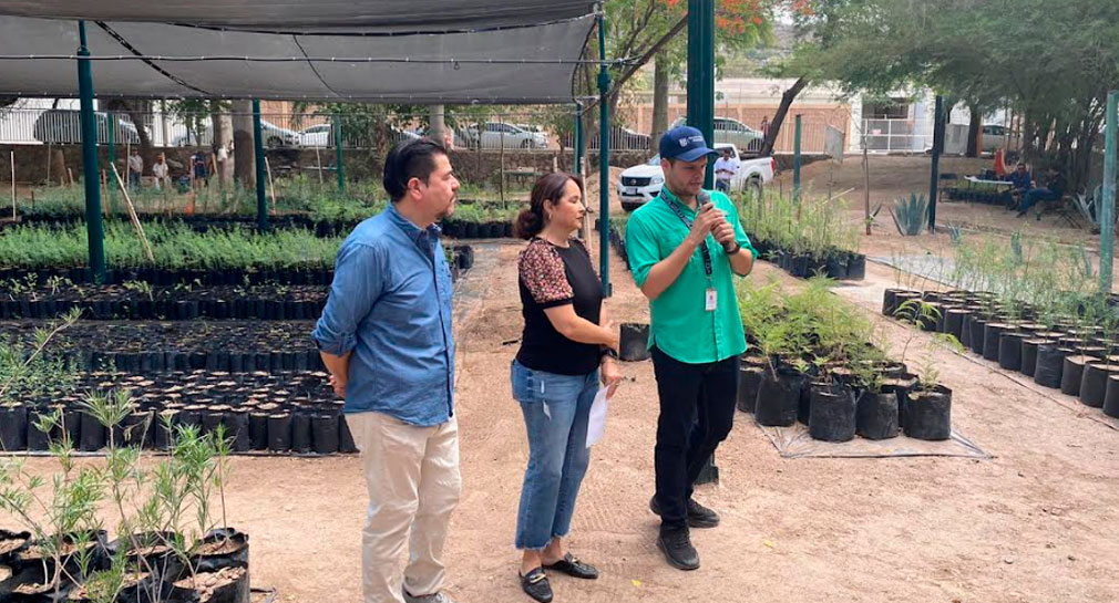 Invitan a Feria del Árbol en Hermosillo, habrá donaciones de ejemplares, talleres, pláticas y más este 28 de junio