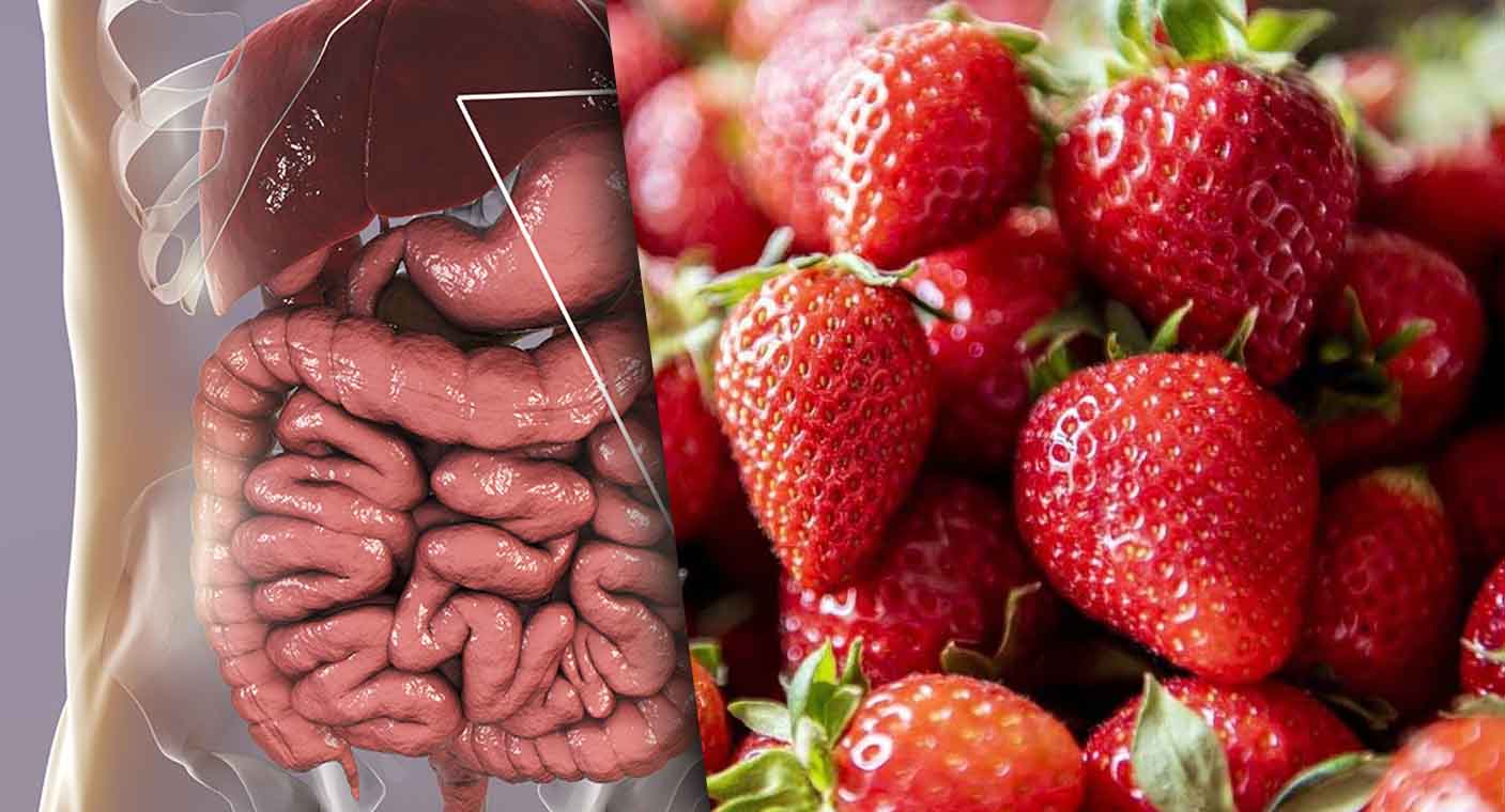EEUU investiga brote de hepatitis A por fresas cultivadas en México