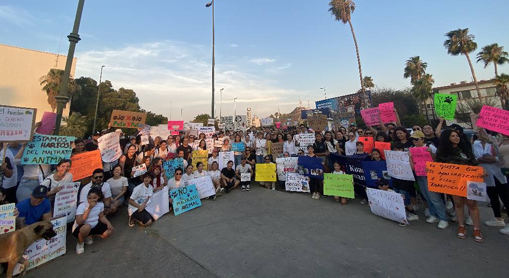 Marchan para exigir respeto a animales y aplicar ley de protección en todo Sonora, “No tienen voz pero estamos para ayudarlos”, dicen
