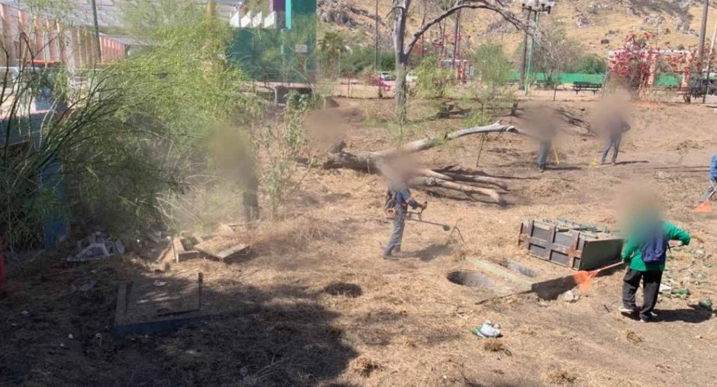 Inicia limpieza en parque La Sauceda para preservar áreas verdes ante posibles incendios de maleza
