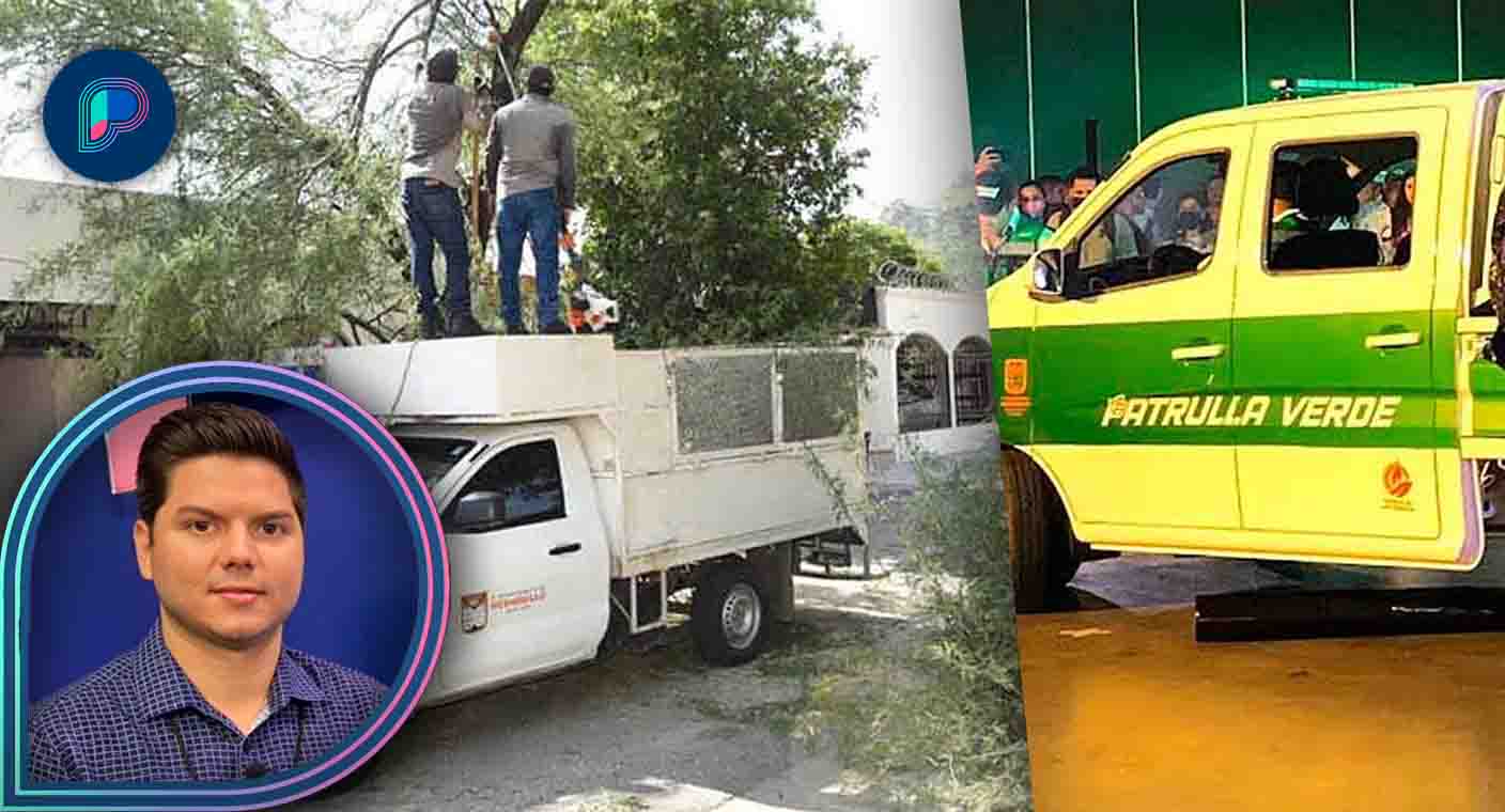 Investiga Ecología municipal a responsable de tala de árboles al sur de Hermosillo; llaman a denunciar