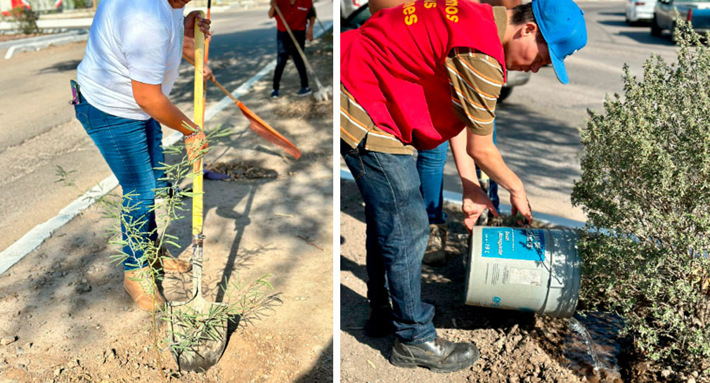 Realizan forestación de árboles en colonia Nuevo Hermosillo, en el programa ‘Adopta un camellón’ de Súper del Norte