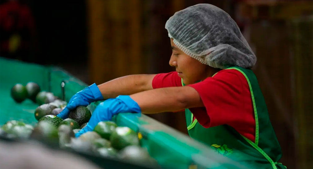 Llama fiscalía a padres, madres y jóvenes denunciar ofertas de trabajo engañosas para laborar fuera de Sonora