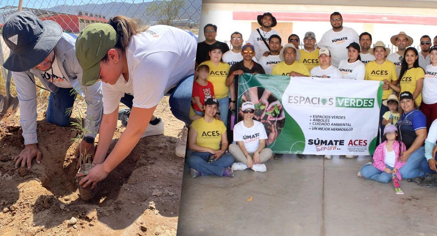 Planta 60 árboles asociación Súmate Sonora en primaria ‘Nueva Creación’ de Hermosillo por iniciativa de forestación