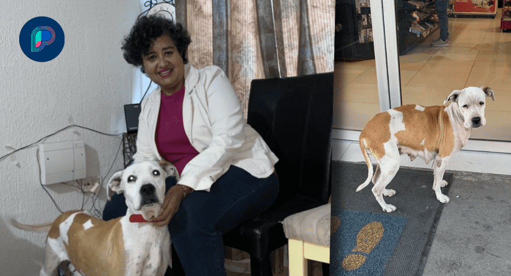 Solicitan ayuda para Luna, fue diagnosticada con cáncer por vivir en la calle tras caer de un auto en la carretera Empalme-Hermosillo