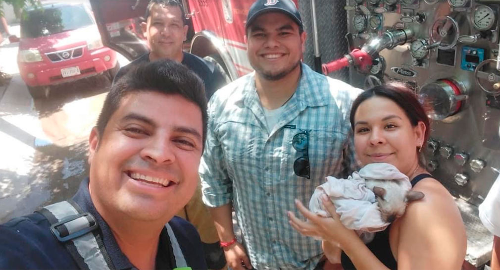 Bomberos de Hermosillo rescatan a gatito de tubería y lo llaman ‘Eso’, como el payaso