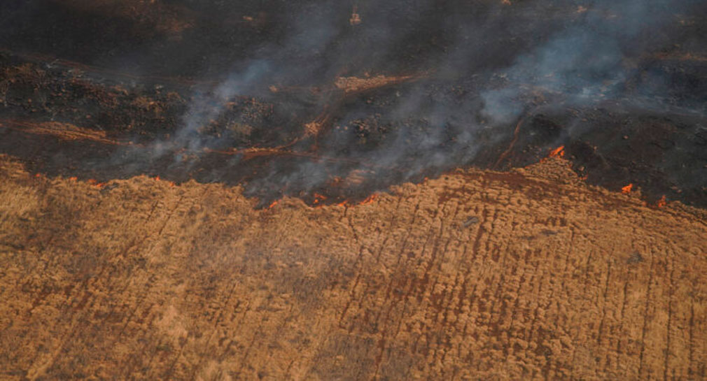 Suman 36 muertos por incendios en Hawái, reportan fuentes oficiales