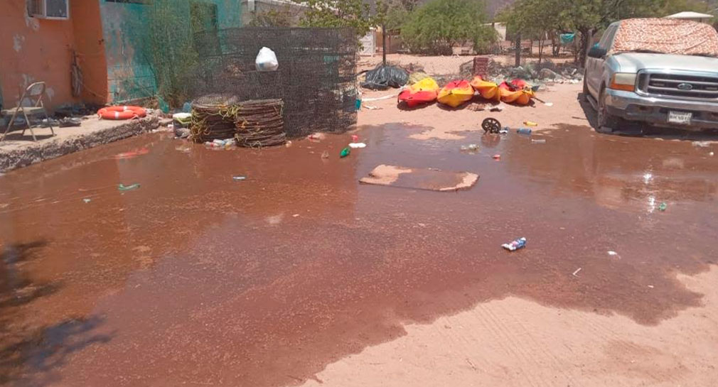 Marea alta inunda calles de Punta Chueca, podría causar daños en casas, autos y personas: Regidor étnico de Hermosillo