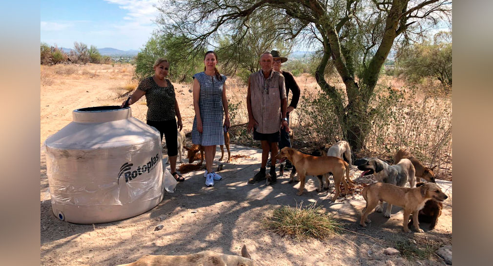 Donan tinaco a Don José, para dar agua a sus 60 perros al norte de Hermosillo