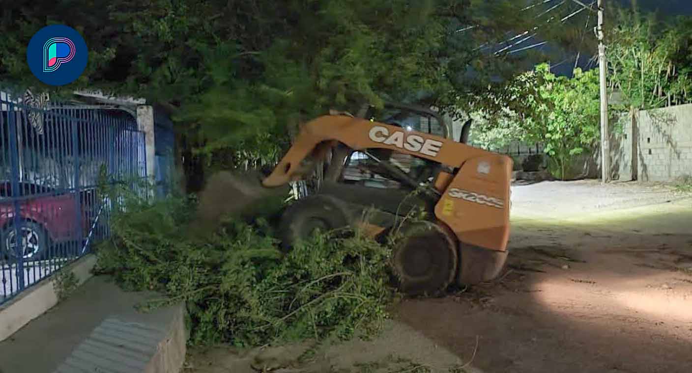 Rachas de viento en Hermosillo dejaron árboles caídos y cortocircuitos