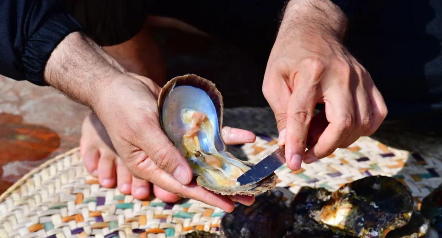 Mueren tres personas en EEUU tras contraer bacterias carnívoras por comer mariscos crudos