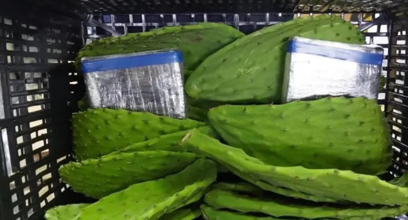 Aseguran cargamento de cocaína oculto entre nopales en frontera de Arizona