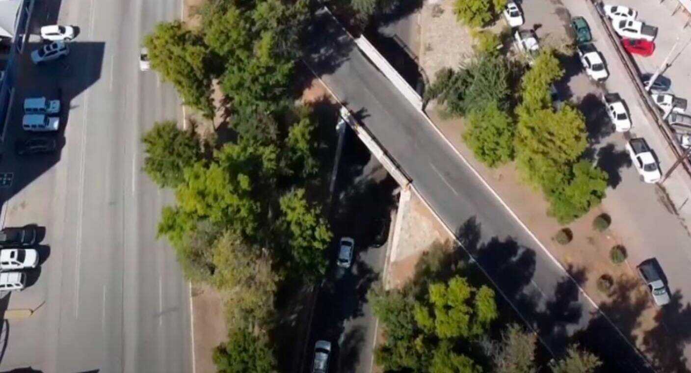 Mayoría de árboles sobrevivieron al trasplantarlos para rehabilitación del puente desnivel del bulevar Luis Encinas en Hermosillo: Cidue
