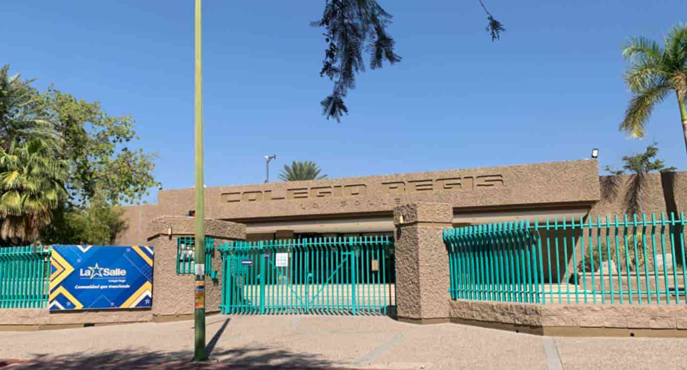 Capturan lince en Colegio Regis La Salle de Hermosillo: ‘No son peligrosos, pero pueden herir si se sienten amenazados’, asegura biólogo