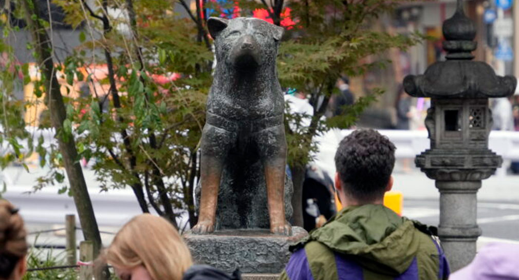 Celebran en Japón el aniversario 100 de Hachiko, el perro que nunca dejó de esperar a su dueño