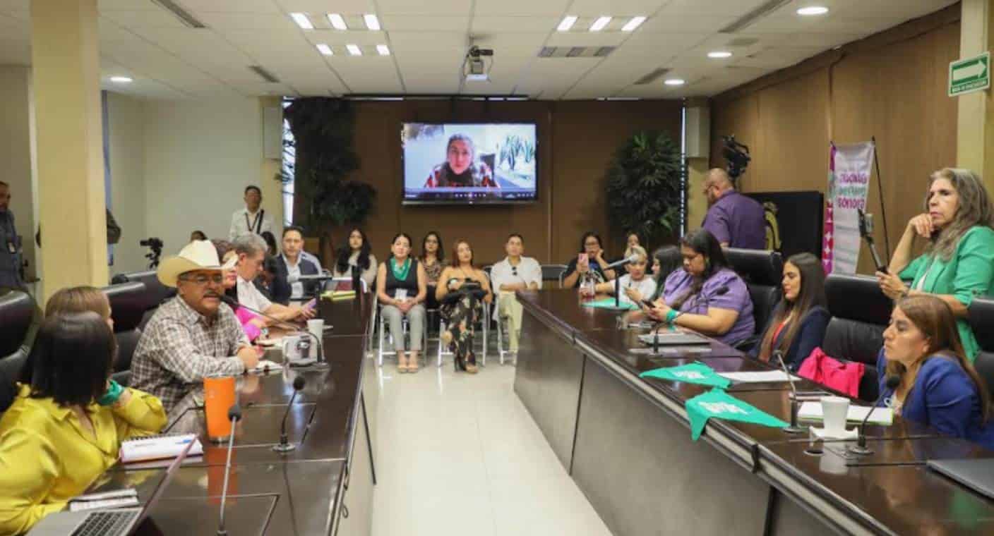 Recibe Congreso de Sonora propuestas para modificar el Código Penal que criminaliza a mujeres por abortar voluntariamente