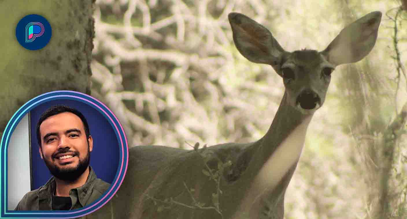 Cientos de especies de corredor biológico de Rancho El Aribabi se afectarán con construcción de tren: biólogo