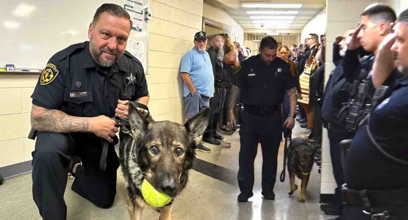 VIDEO: Ella es ‘Candy’, la perrita policía diagnosticada con cáncer terminal