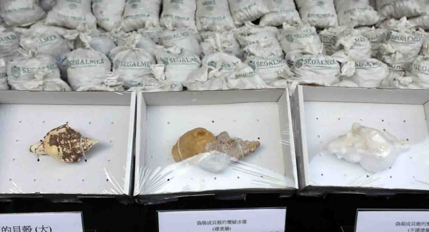 Aseguran en Hong Kong más de una tonelada metanfetamina procedente de México, oculta en conchas de caracol con bolsas de Segalmex