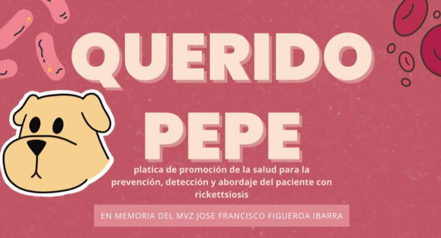 Con Fundación “Querido Pepe” en Hermosillo, amigas del veterinario José Figueroa, que murió de rickettsia, dan pláticas para prevenir y capacitar sobre la enfermedad