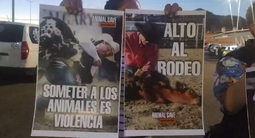 “Someter a los animales es violencia”: Activistas por los animales se manifiestan contra Circuito de Rodeo previo al evento en Hermosillo