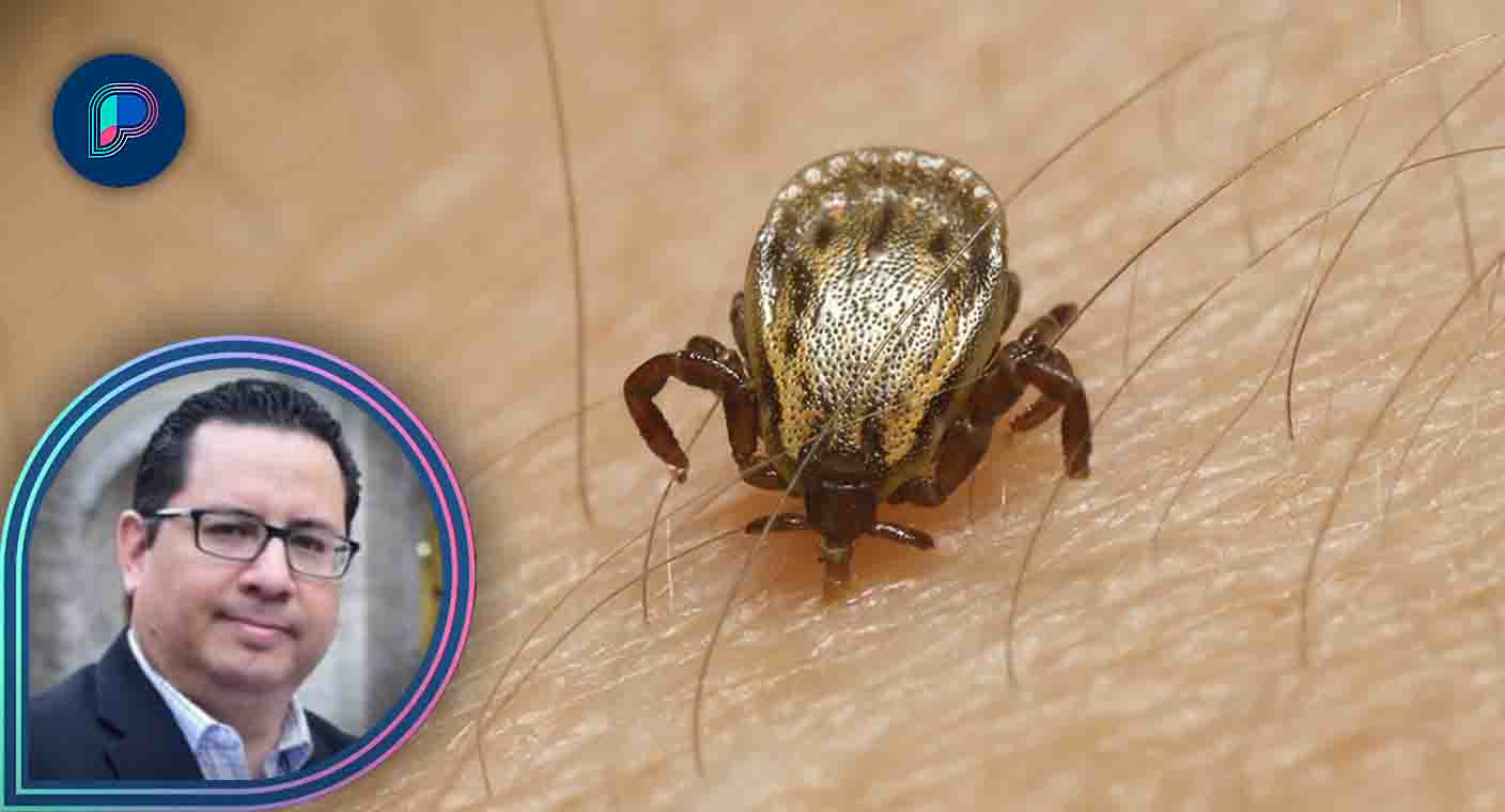 Es recomendación de EEUU por casos de rickettsia, no alerta de viaje a México, afirma Salud Sonora; llaman a población a atender mascotas