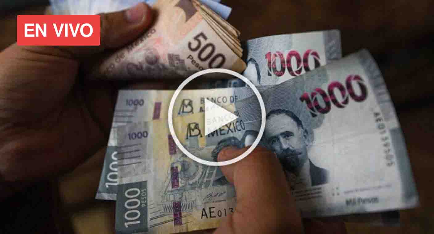🔴 EN VIVO | Proyecto Puente: economía de México en 2024, Mercado Municipal de Hermosillo, uso de pirotecnia, análisis del próximo año electoral y más