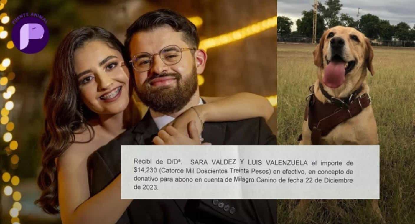 Pareja paga 14 mil pesos a veterinaria de Navojoa para liquidar deuda de rescatistas de ‘Milagro Canino’