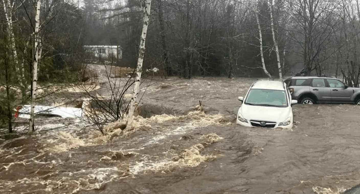 Tormenta invernal deja 5 muertos y 600 mil casas sin electricidad en EEUU