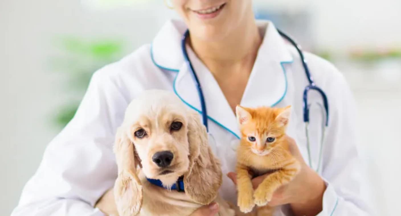 Anuncia Toño Astiazarán una clínica gratuita para mascotas en Hermosillo