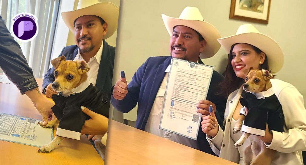 La fuerte conexión con sus perritos llevó a Estrella y René a tener a una de sus mascotas como testigo de su amor el día de su boda
