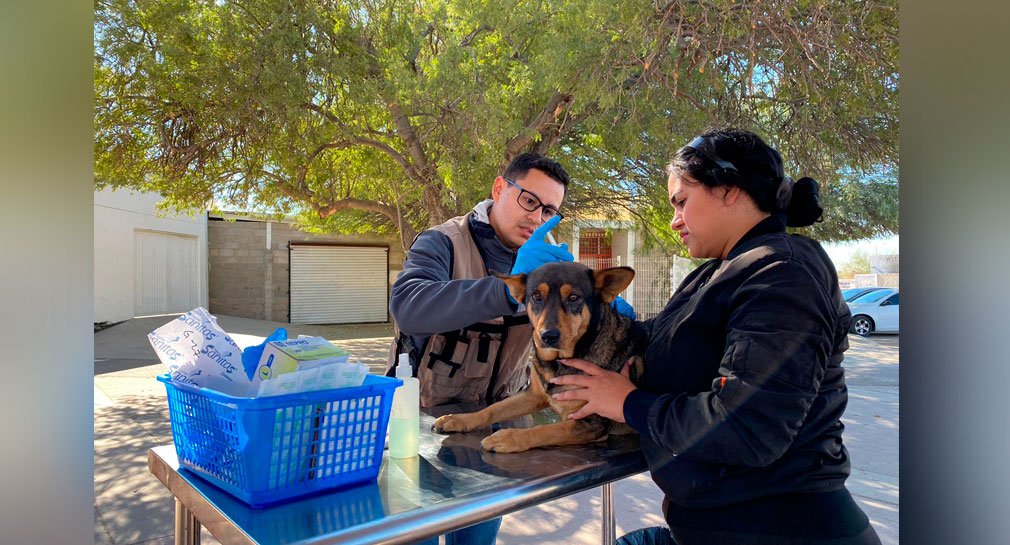 Realizan jornada de salud para perros y gatos en Centro Hábitat Solidaridad de Hermosillo, con vacunas, desparasitación y más servicios