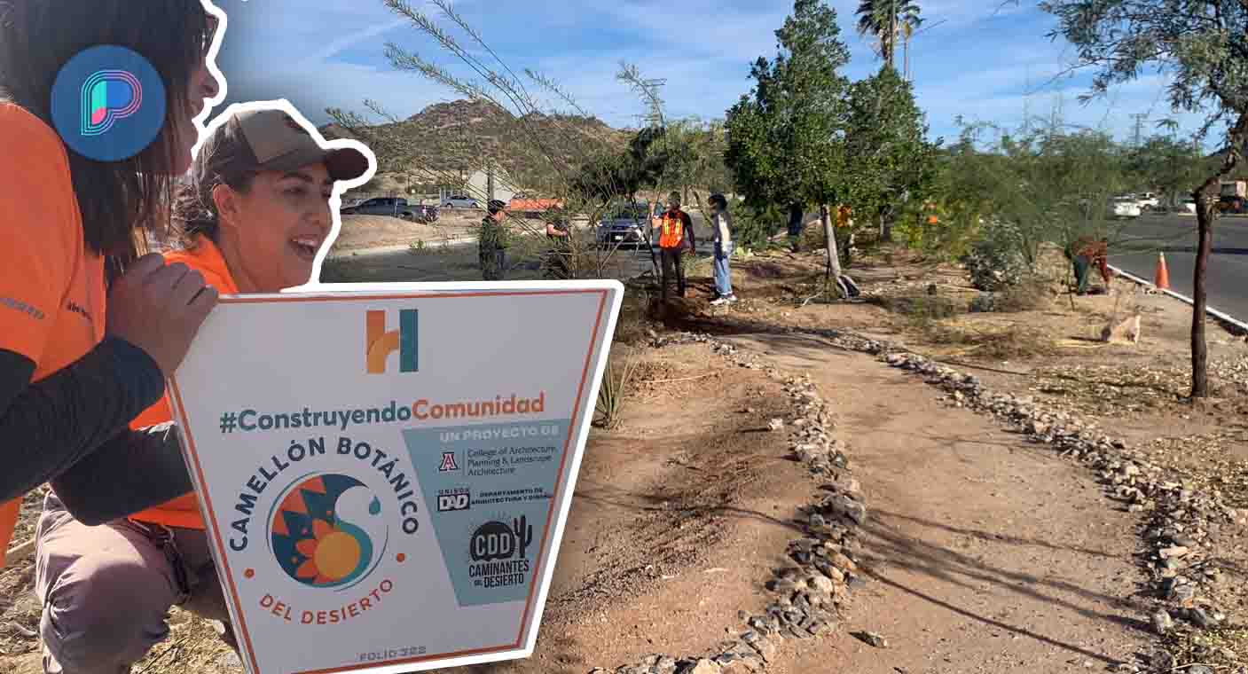 Caminantes del Desierto, alumnos y docentes de Universidad de Arizona inauguran camellón botánico al norte de Hermosillo