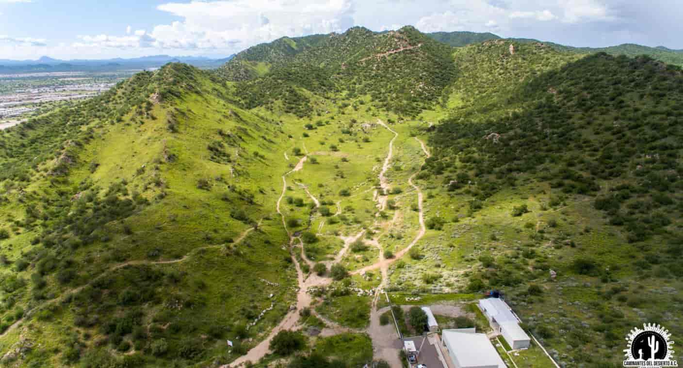 Invitan Caminantes del Desierto a conmemorar 15 años que el Cerro Johnson es Área Natural Protegida y única en Hermosillo