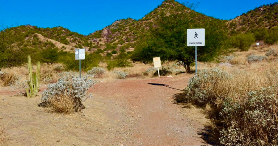 La historia del rescate del Cerro Johnson, a 15 años de convertirse en la primera Área Natural Protegida de Hermosillo