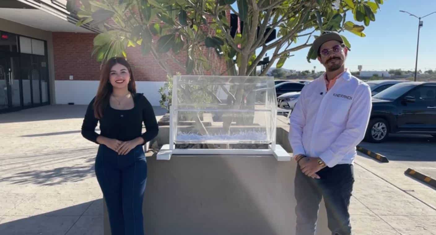Conoce las ganadoras de los terrenos y fin de semana en cabaña de Kino Ranch