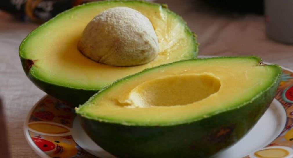 Productores mexicanos enviarán 130 mil toneladas de aguacate a EEUU para el Super Bowl