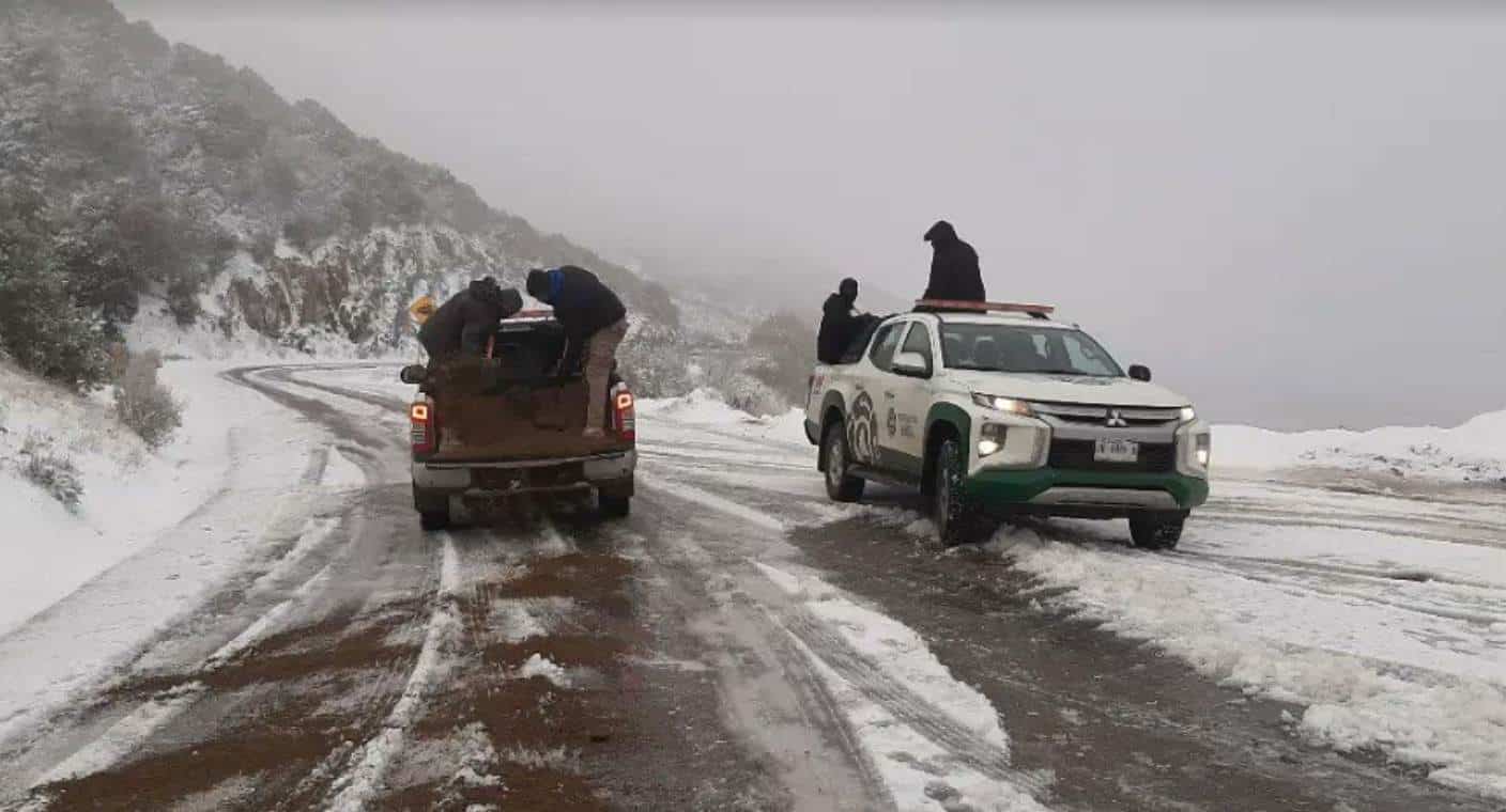 Trabajan en abrir tramo carretero en Puerto de San Luis por caída de nieve y rescate de 5 familias varadas en el lugar: PC