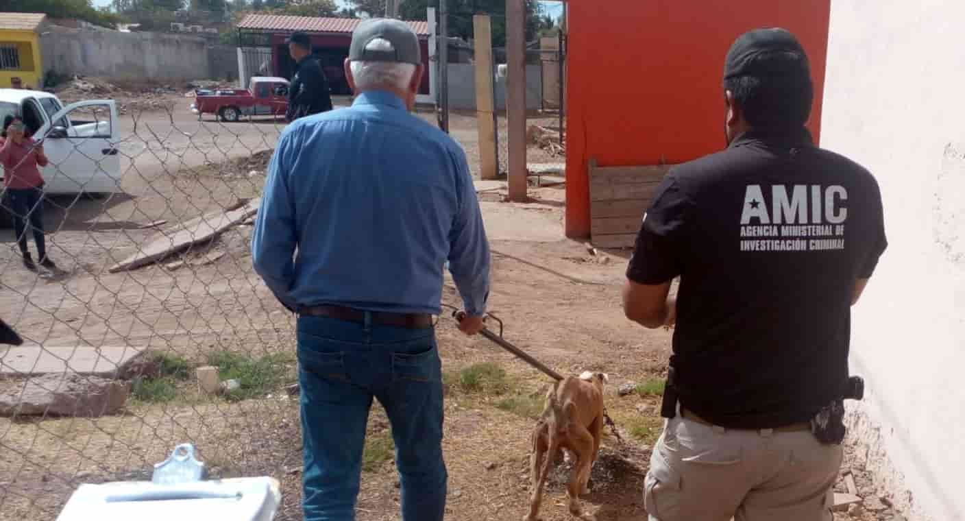 Rescatan al perro Bayron por maltrato animal, en una casa de Cajeme