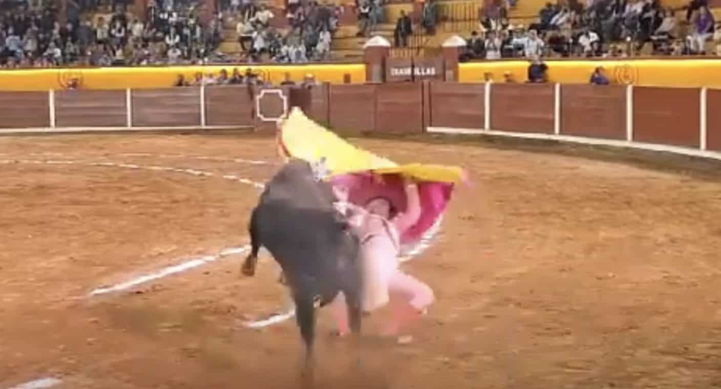 Reportan grave al torero José Alberto Ortega tras cornada en el cuello durante corrida en Tlaxcala