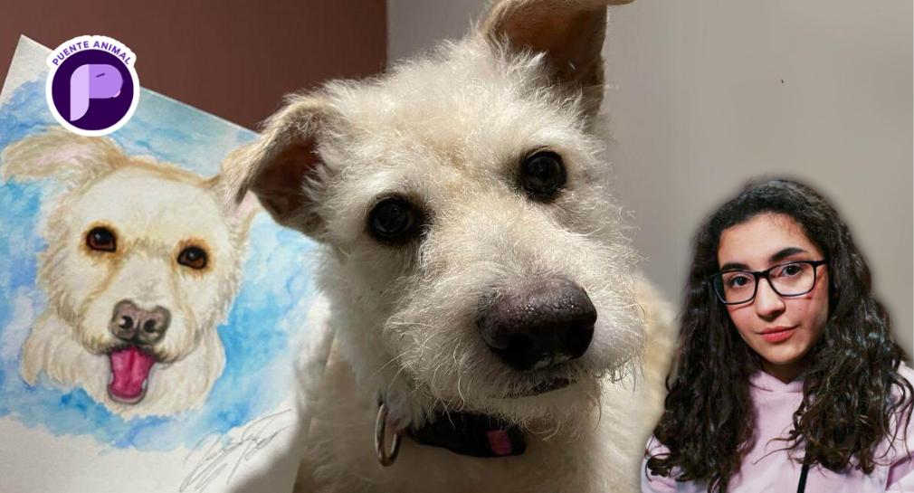 Dennis García, artista hermosillense, retrata la mirada de las mascotas a través de su arte
